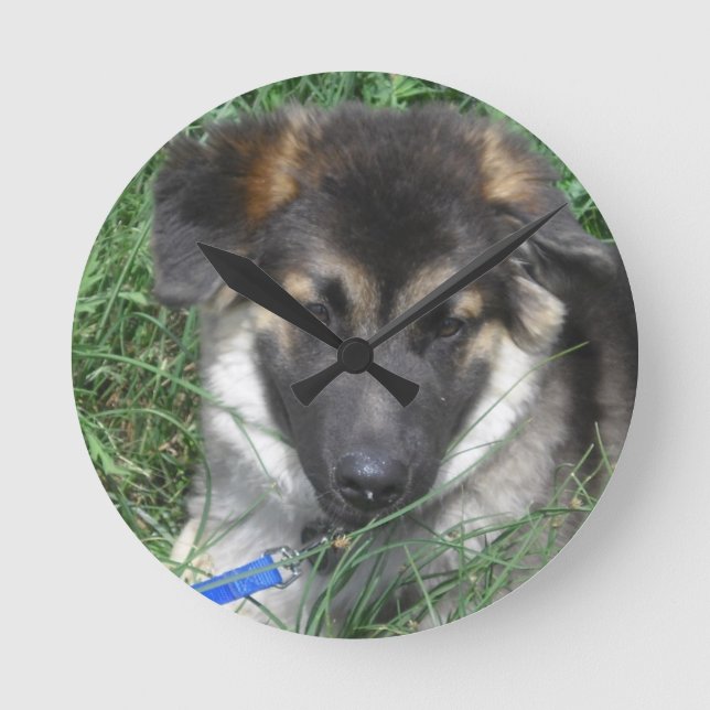German Shepherd Wall Clock (Front)