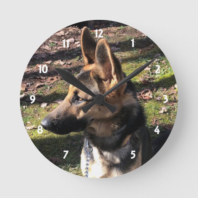 German Shepherd: Wall Clock (Front)