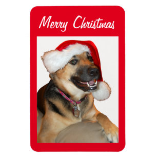German Shepherd wearing a Santa Claus Hat Magnet