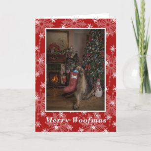 German shepherd wish you a merry christmas. holiday card