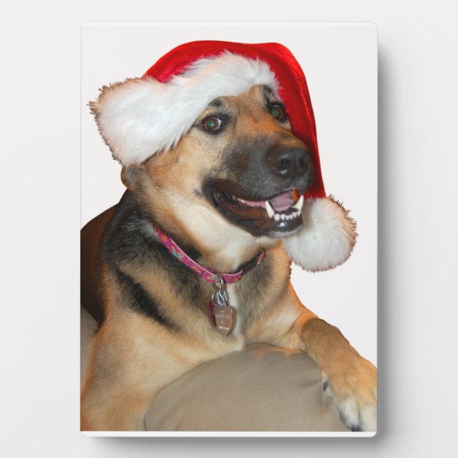 German Shepherd with Santa Hat Plaque (Front)