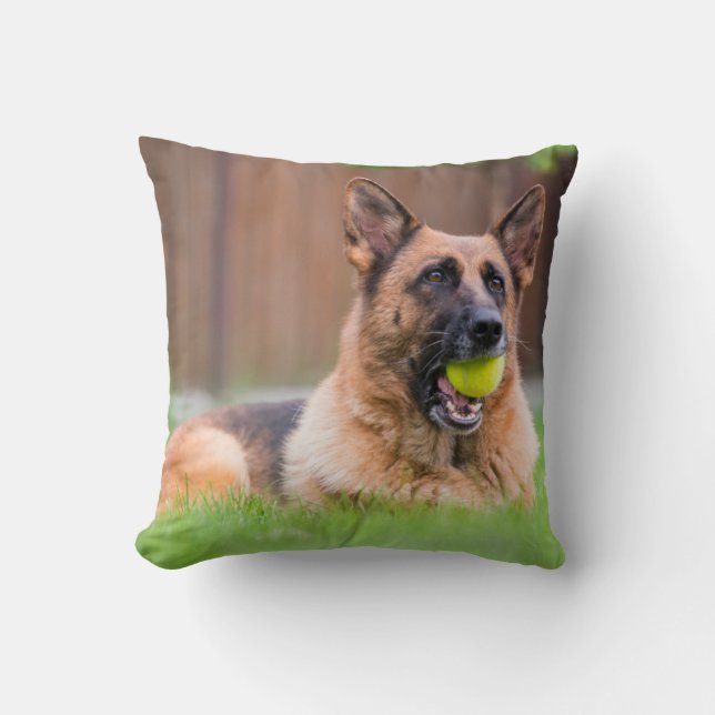 German Shepherd With Tennis Ball Cushion (Front)