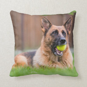 German Shepherd With Tennis Ball Cushion