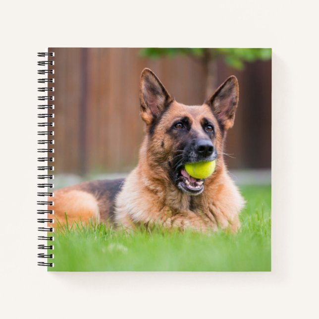German Shepherd With Tennis Ball Notebook (Front)