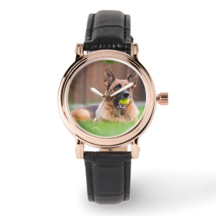 German Shepherd With Tennis Ball Watch