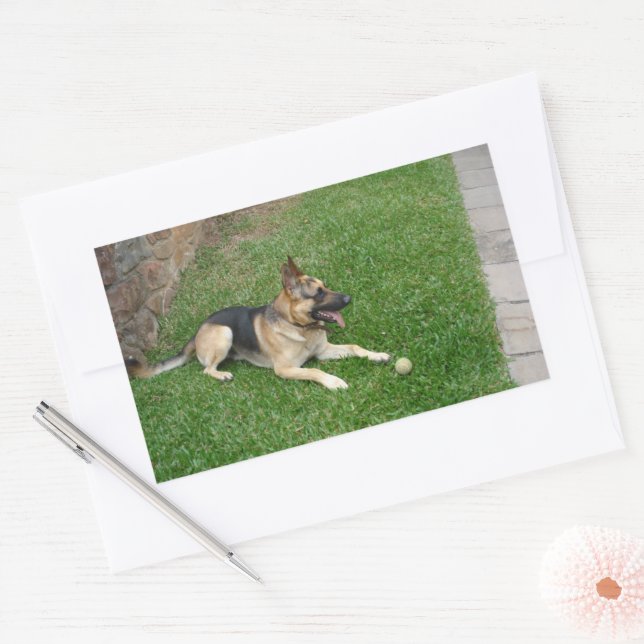 German Shepherd with Toy Laying In Grass Rectangular Sticker (Envelope)