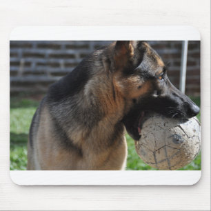 german shepherd with toy mouse pad