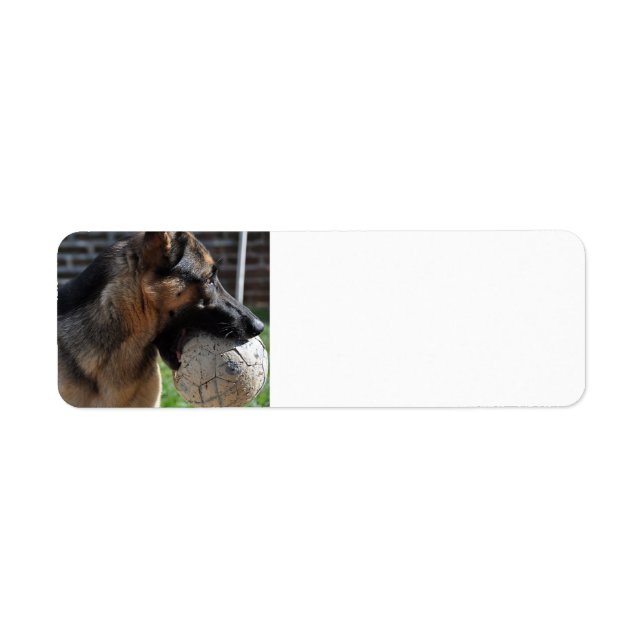 german shepherd with toy return address label (Front)