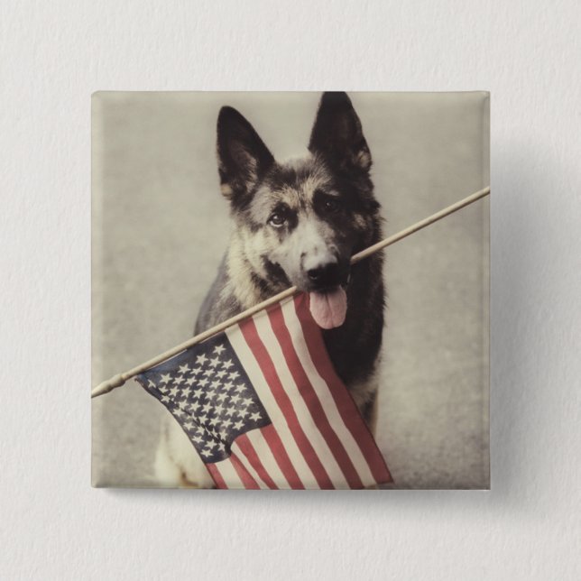 German Shepherd With US Flag 15 Cm Square Badge (Front)