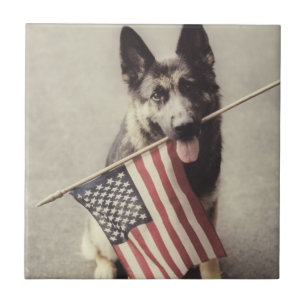 German Shepherd With US Flag Ceramic Tile