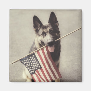 German Shepherd With US Flag Magnet