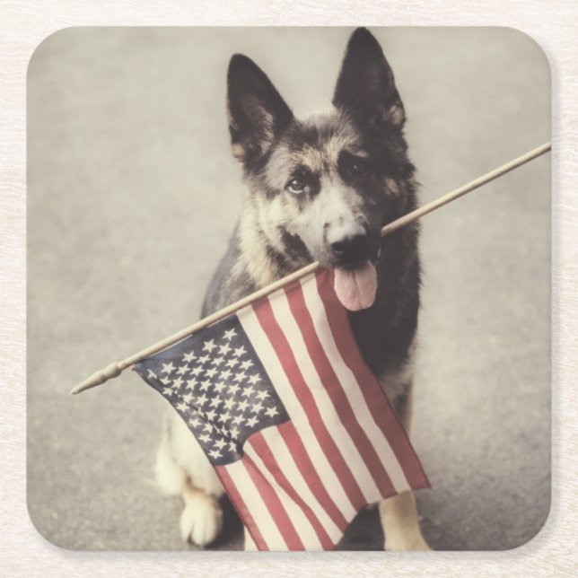 German Shepherd With US Flag Square Paper Coaster (Front)