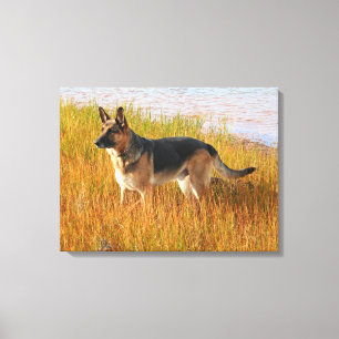German Shepherd Wrapped Canvas Print