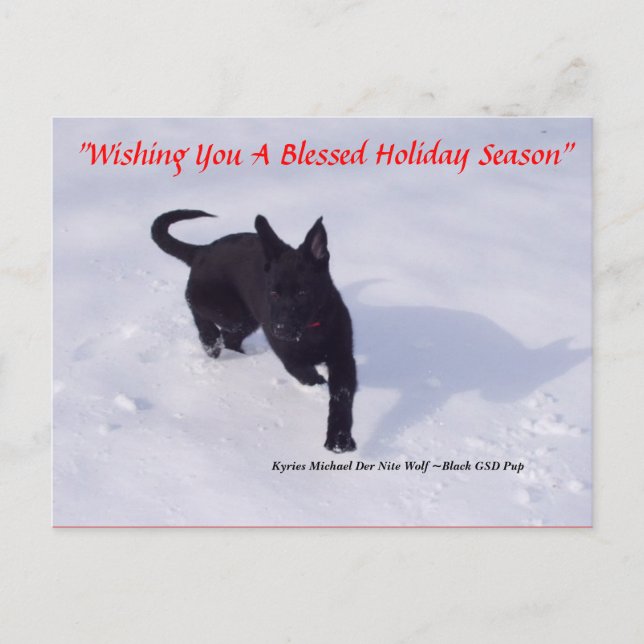 German Shepherd xmas postcard (Front)