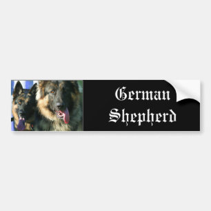 German Shepherds bumper sticker