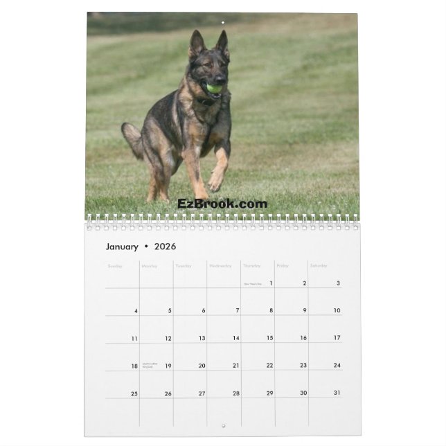 German Shepherds in Action Calendar (Jan 2026)