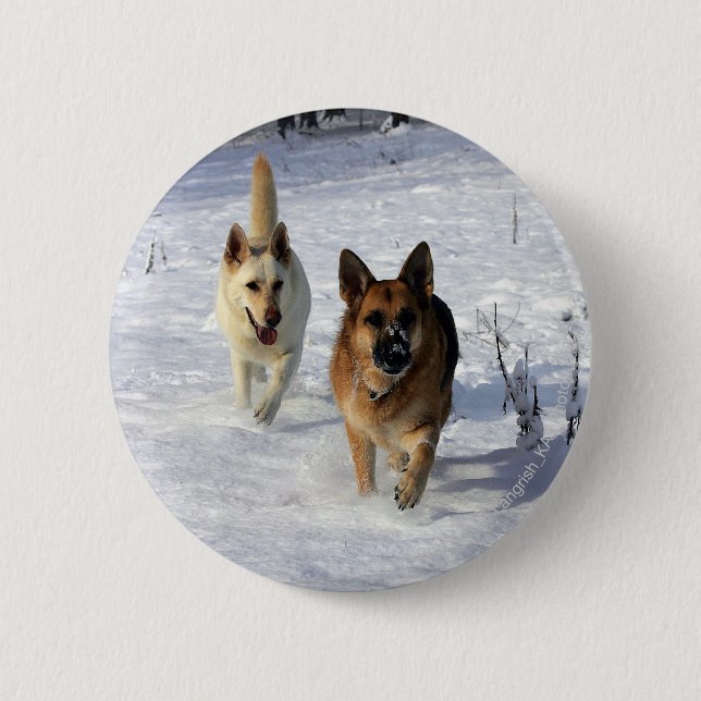 German Shepherds Running in the Snow 6 Cm Round Badge (Front)