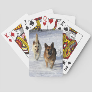 German Shepherds Running in the Snow Playing Cards