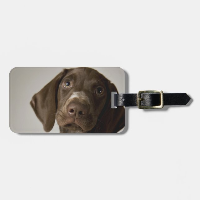 German Short-Haired Pointer puppy Luggage Tag (Front Horizontal)
