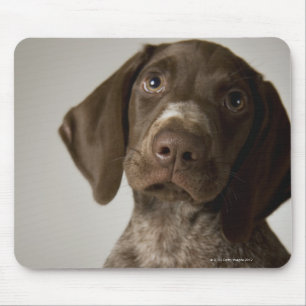 German Short-Haired Pointer puppy Mouse Pad