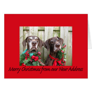German Shorthaired Merry Christmas New Address