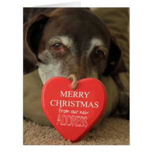 German Shorthaired Merry Christmas  New Address