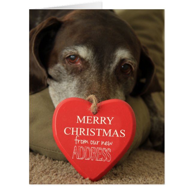German Shorthaired Merry Christmas  New Address (Front)