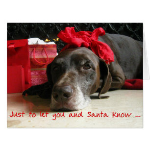 German Shorthaired Merry Christmas  New Address