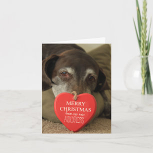 German Shorthaired Merry Christmas New Address Holiday Card