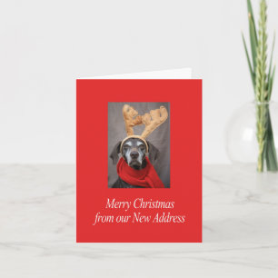 German Shorthaired Merry Christmas  New Address Holiday Card