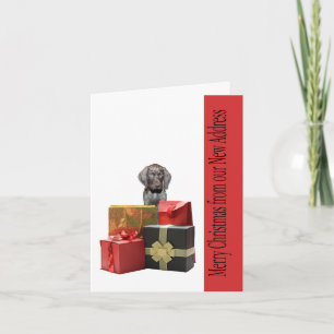 German Shorthaired Merry Christmas New Address Holiday Card