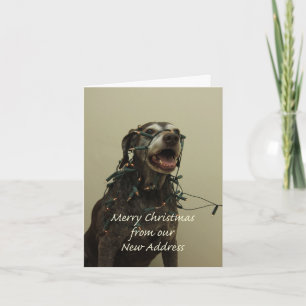 German Shorthaired Merry Christmas New Address Holiday Card