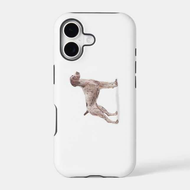 German Shorthaired Pointer (Back)
