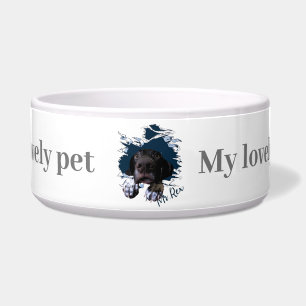 German Shorthaired Pointer