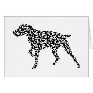 German Shorthaired Pointer