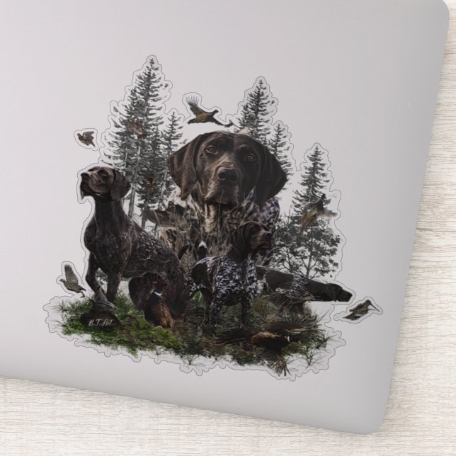 German Shorthaired Pointer    (Detail)