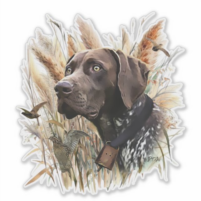 German Shorthaired Pointer (Front)