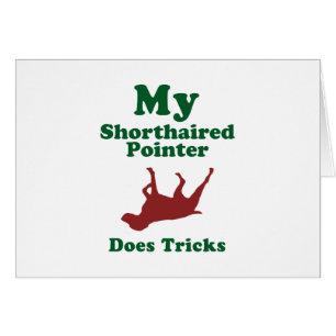 German Shorthaired Pointer