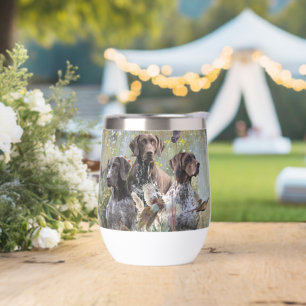 German Shorthaired Pointer