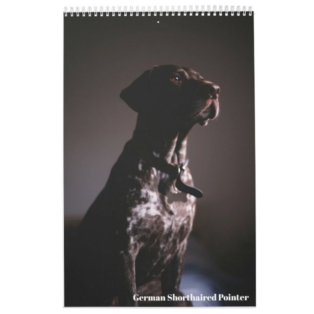 German Shorthaired Pointer 2024 Calendar GSP Dog (Cover)