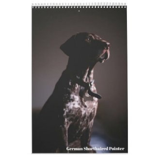 German Shorthaired Pointer 2024 Calendar GSP Dog