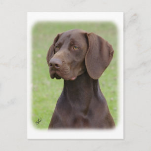 German Shorthaired Pointer AA004D-019 Postcard