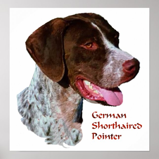 German Shorthaired Pointer Art Print (Front)