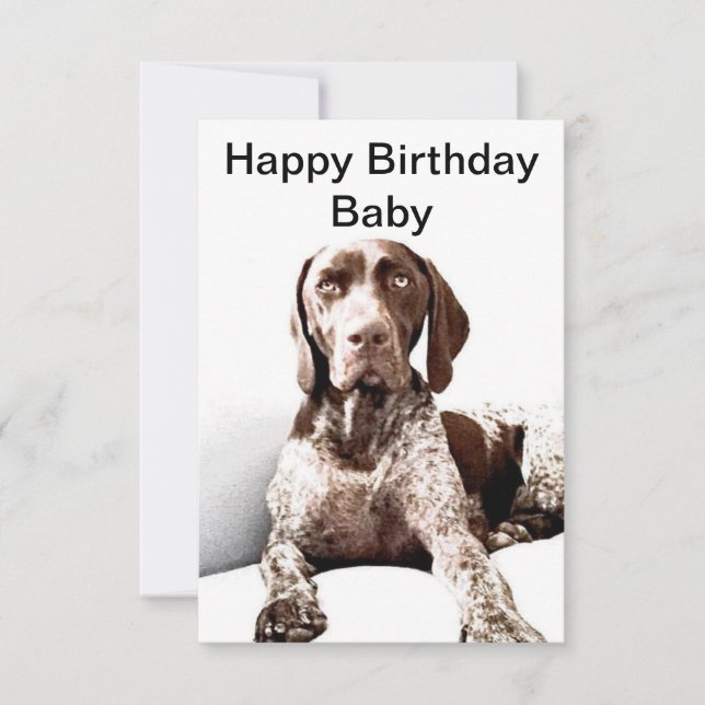 German Shorthaired Pointer Birthday Card (Front)