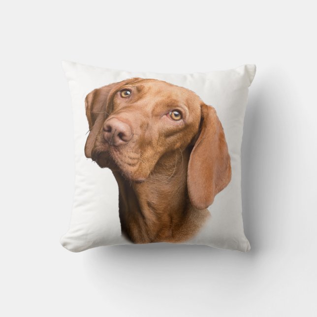 German Shorthaired Pointer Brown Dog Cushion (Front)
