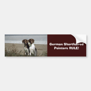 German Shorthaired Pointer Bumper Sticker