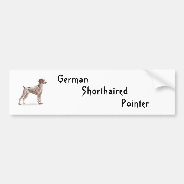 German Shorthaired Pointer Bumper Sticker (Front)