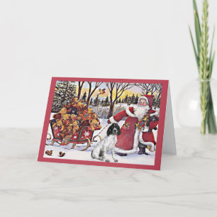 German Shorthaired Pointer Christmas Card Santa2