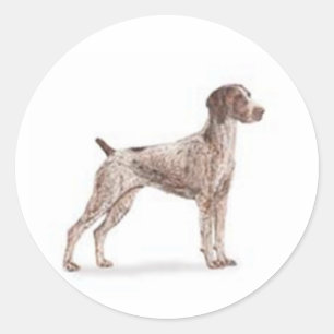 German Shorthaired Pointer Classic Round Sticker