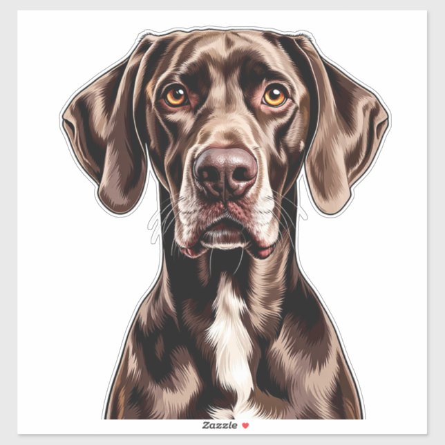 German Shorthaired Pointer Close-Up Portrait (Sheet)